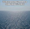 21142164.jpg