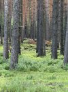 IMG_4080.jpeg