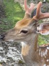 IMG_4100.jpeg