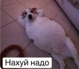 IMG_4500.jpeg