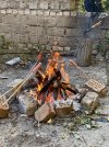 IMG_4491.jpeg
