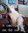 IMG_4504.jpeg