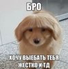 4056.jpg