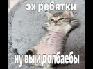 IMG_4499.jpeg