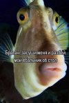 IMG_4496.jpeg
