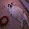 IMG_4498.jpeg