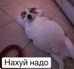 IMG_4523.jpeg