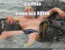 IMG_4529.webp