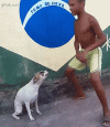 B58BC90F-70F8-4813-AC24-FDB47F3F5284.gif