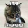IMG_4604.jpeg