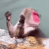 9DDFD09A-89B9-4D48-A8F6-DEC7F21C626B.gif 9DDFD09A-89B9-4D48-A8F6-DEC7F21C626B.gif