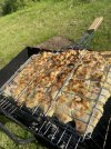 IMG_4616.jpeg