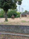 IMG_20260817_091350.jpg