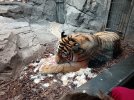 IMG_20260817_111724.jpg