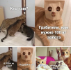 c2a69a401dc5051d14e5d7e8e41b4bf2.png
