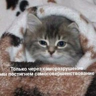 УставшийЖук