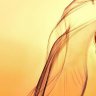 Seda