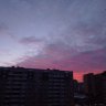Сектор Клитор